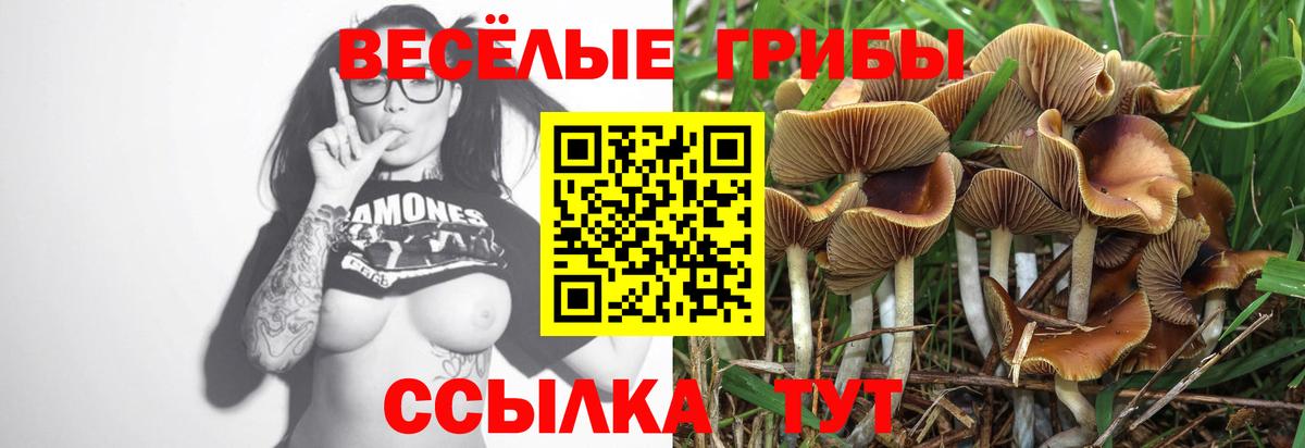 Псилоцибиновые грибы Psilocybine cubensis  где можно купить наркотик  Галлюциногенные грибы мицелий  Старая Купавна  Вход с VPN 