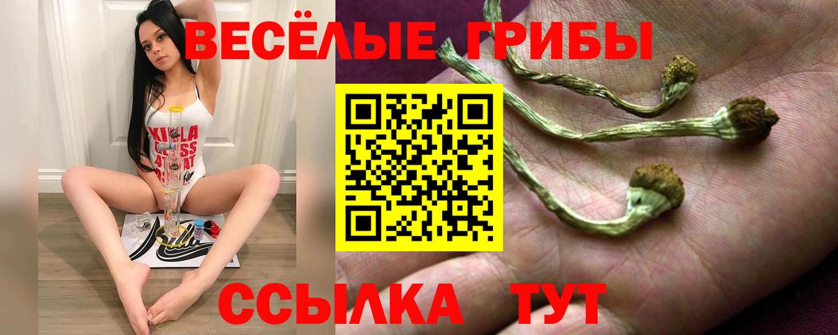 Псилоцибиновые грибы ЛСД Старая Купавна
